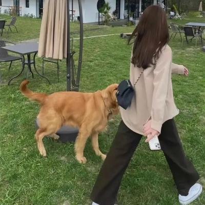 向医院前行